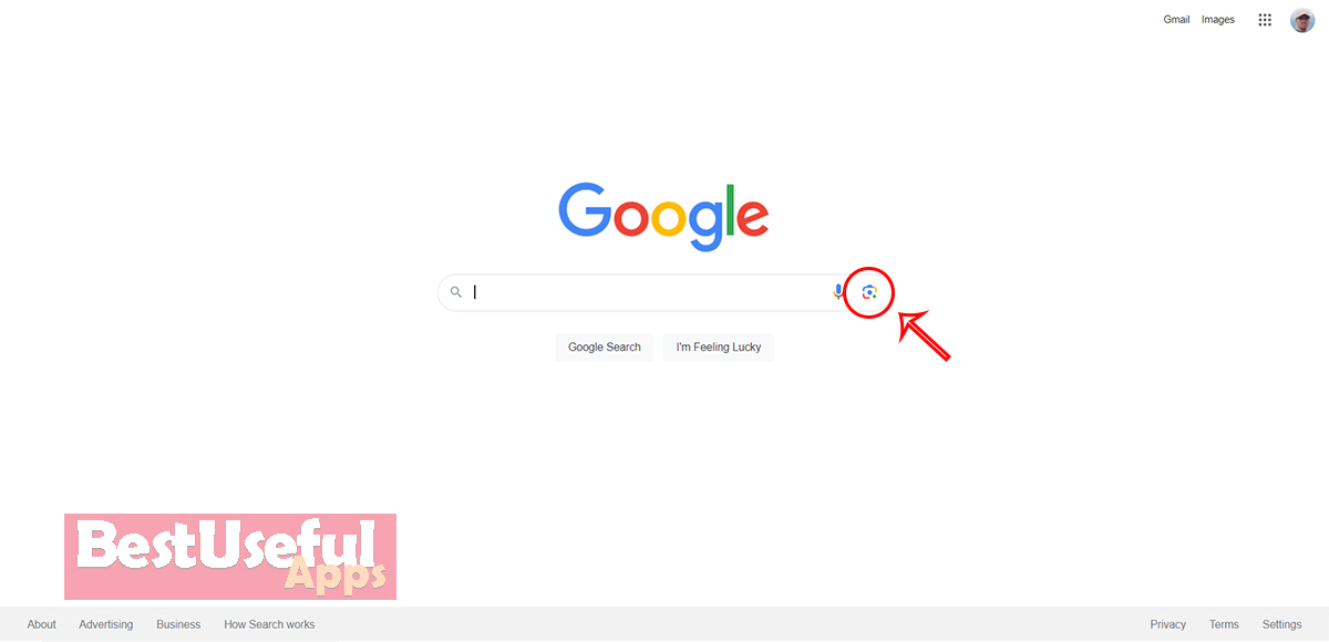 Search a picture from your computer