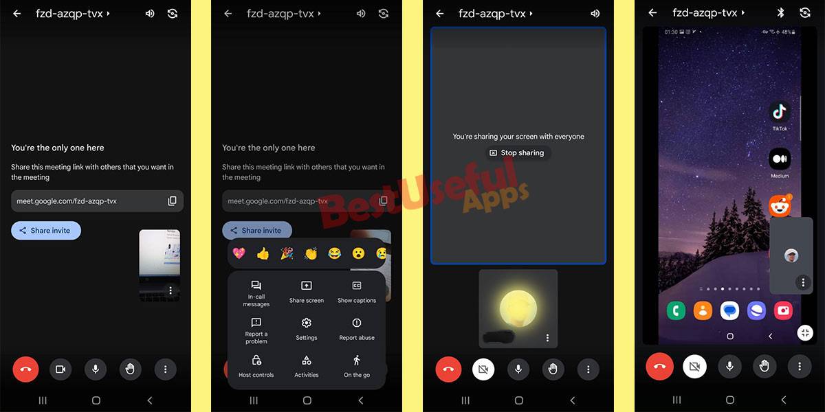 share screen in google meet