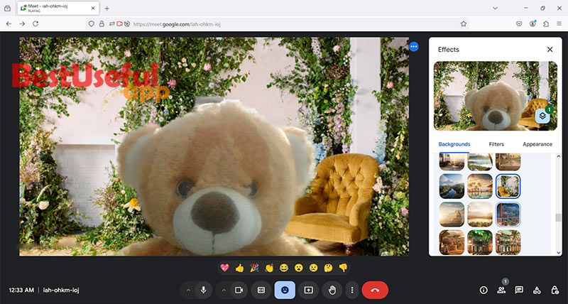 nature background in google meet