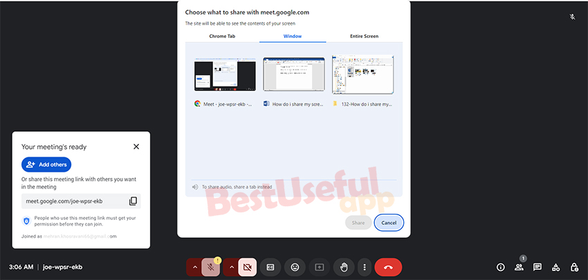 chrome tab, window and entire screen in google meet