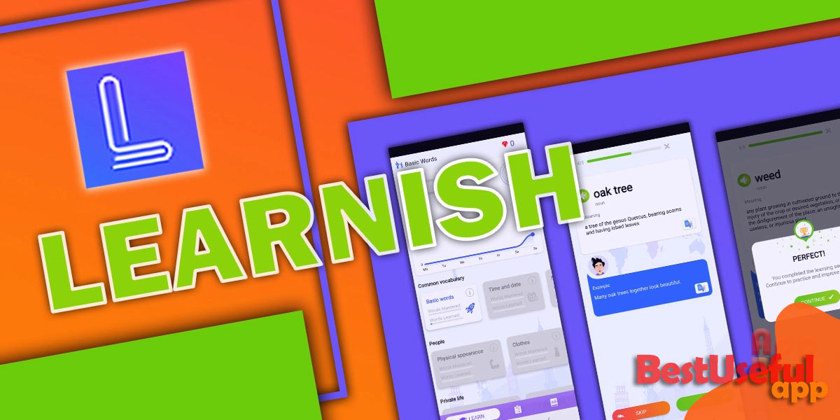 Learnish app